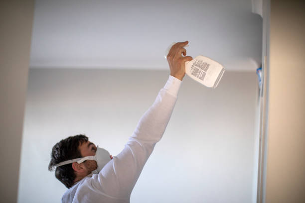 Best Mold Removal Company Near Me  in Waipio, HI