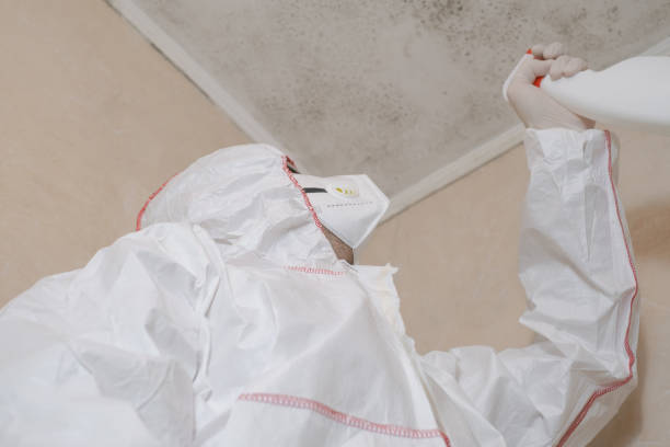 Best Certified Mold Removal  in Waipio, HI