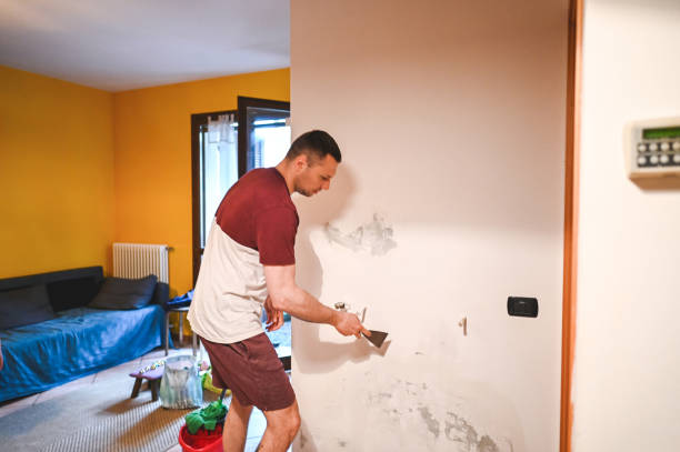 Best Crawl Space Mold Removal  in Waipio, HI